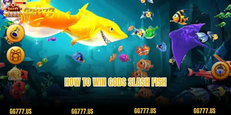 How to win Gods Slash Fish