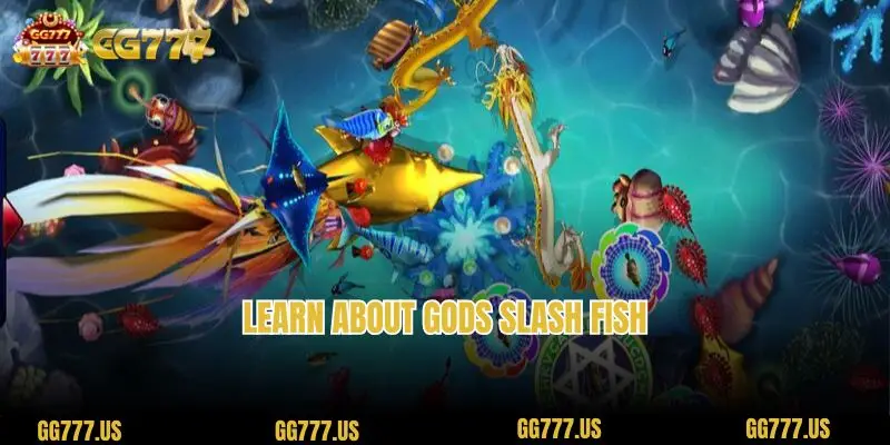 Learn about Gods Slash Fish